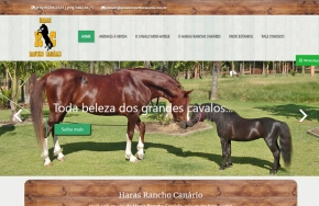 criação de site americana pôneis rancho canário